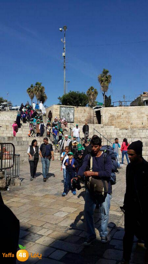 aqsa mahrajan 12 (12).jpg